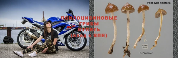 мяу мяу мука Алексеевка
