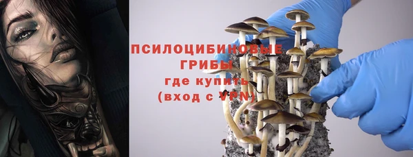мяу мяу мука Алексеевка