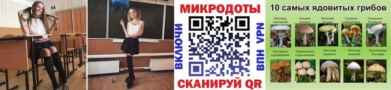 Псилоцибиновые грибы Psilocybe  дарнет шоп  Бирюч 